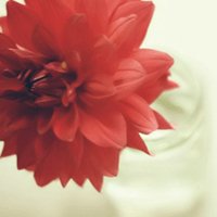 СΨۿͷͼƬ(19)_WWW.AIGEXING.COM