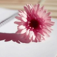 СΨۿͷͼƬ(22)_WWW.AIGEXING.COM
