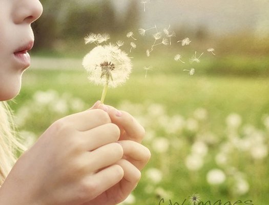 ־֢QQѡʧ(1)_WWW.AIGEXING.COM