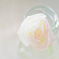 ΨQQͷͼƬ(6)_WWW.AIGEXING.COM
