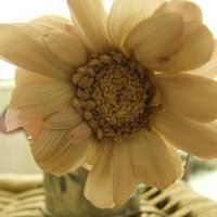 ΨQQͷͼƬ(27)_WWW.AIGEXING.COM