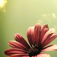 ΨQQͷͼƬ(32)_WWW.AIGEXING.COM