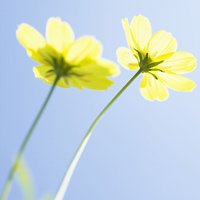 ΨQQͷͼƬ(14)_WWW.AIGEXING.COM