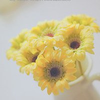 ΨQQͷͼƬ(33)_WWW.AIGEXING.COM
