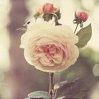 ΨQQͷͼƬ(24)_WWW.AIGEXING.COM