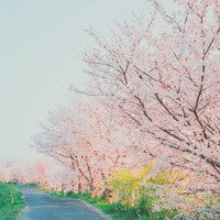 ΨQQͷͼƬ(37)_WWW.AIGEXING.COM