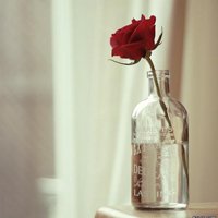 ΨQQͷͼƬ(43)_WWW.AIGEXING.COM