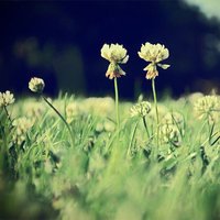 ΨQQͷͼƬ(34)_WWW.AIGEXING.COM
