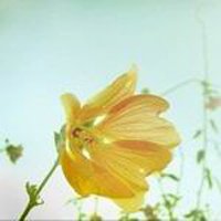 ΨQQͷͼƬ(16)_WWW.AIGEXING.COM