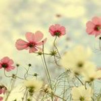 ΨQQͷͼƬ(23)_WWW.AIGEXING.COM