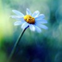 ΨQQͷͼƬ(29)_WWW.AIGEXING.COM