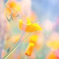 ΨQQͷͼƬ(38)_WWW.AIGEXING.COM