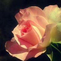 ΨQQͷͼƬ(40)_WWW.AIGEXING.COM