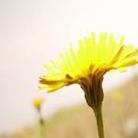 ΨQQͷͼƬ(17)_WWW.AIGEXING.COM