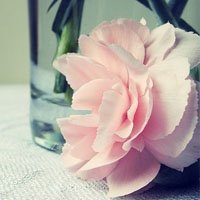 ΨQQͷͼƬ(26)_WWW.AIGEXING.COM
