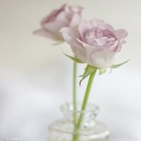 ΨQQͷͼƬ(44)_WWW.AIGEXING.COM