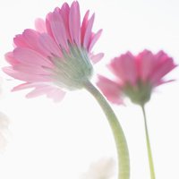 ΨQQͷͼƬ(5)_WWW.AIGEXING.COM