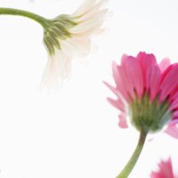 ΨQQͷͼƬ(28)_WWW.AIGEXING.COM