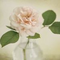 ΨQQͷͼƬ(22)_WWW.AIGEXING.COM