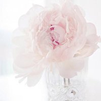 ΨQQͷͼƬ(39)_WWW.AIGEXING.COM