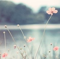 ΨQQͷͼƬ(9)_WWW.AIGEXING.COM