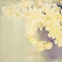 ΨQQͷͼƬ(41)_WWW.AIGEXING.COM