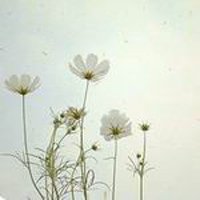 ΨQQͷͼƬ(19)_WWW.AIGEXING.COM
