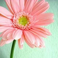 СQQΨͷͼƬ(11)_WWW.AIGEXING.COM