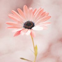 ŮרQQͷͼƬ(25)_WWW.AIGEXING.COM