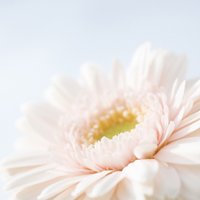 ŮרQQͷͼƬ(16)_WWW.AIGEXING.COM