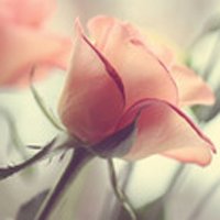 ŮרQQͷͼƬ(7)_WWW.AIGEXING.COM