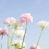 ŮרQQͷͼƬ(56)_WWW.AIGEXING.COM