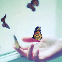 дµĸͷ(8)_WWW.AIGEXING.COM