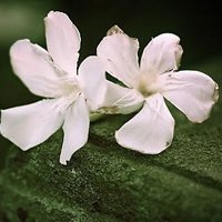 ΨŮͷͼƬ(50)_WWW.AIGEXING.COM