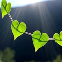 ΨŮͷͼƬ(33)_WWW.AIGEXING.COM