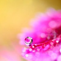 ΨŮͷͼƬ(53)_WWW.AIGEXING.COM
