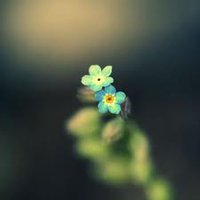 ΨŮͷͼƬ(60)_WWW.AIGEXING.COM