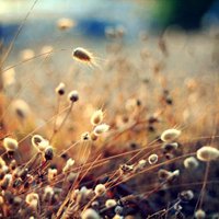 ΨŮͷͼƬ(59)_WWW.AIGEXING.COM