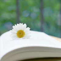 ˸ͷŮͼƬ(30)_WWW.AIGEXING.COM