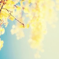 ˸ͷŮͼƬ(49)_WWW.AIGEXING.COM