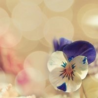 ˸ͷŮͼƬ(50)_WWW.AIGEXING.COM