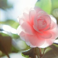 ˸ͷŮͼƬ(53)_WWW.AIGEXING.COM