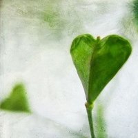ŮͷͼƬ(23)_WWW.AIGEXING.COM
