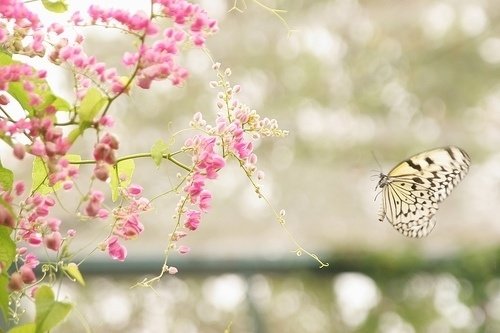 ΨQQק(1)_WWW.AIGEXING.COM
