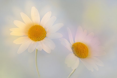 ۵ķǩ˸(1)_WWW.AIGEXING.COM