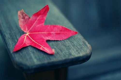 Ůקռ˵˵(1)_WWW.AIGEXING.COM