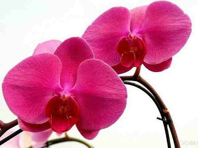ڰ˸о(1)_WWW.AIGEXING.COM