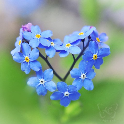 Ψ˸Ӣĸǩ(1)_WWW.AIGEXING.COM