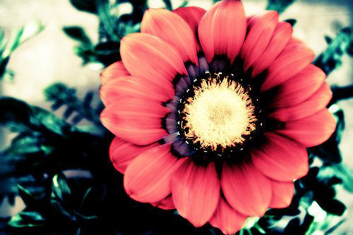 ¶һ˴(1)_WWW.AIGEXING.COM