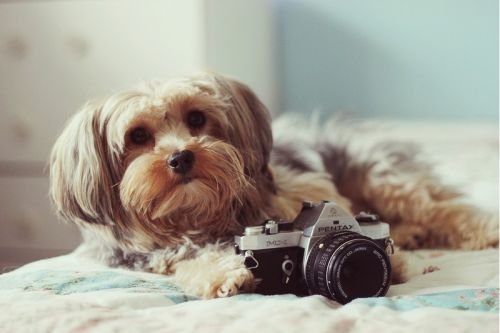 Ұ㣬ȴ˺(1)_WWW.AIGEXING.COM